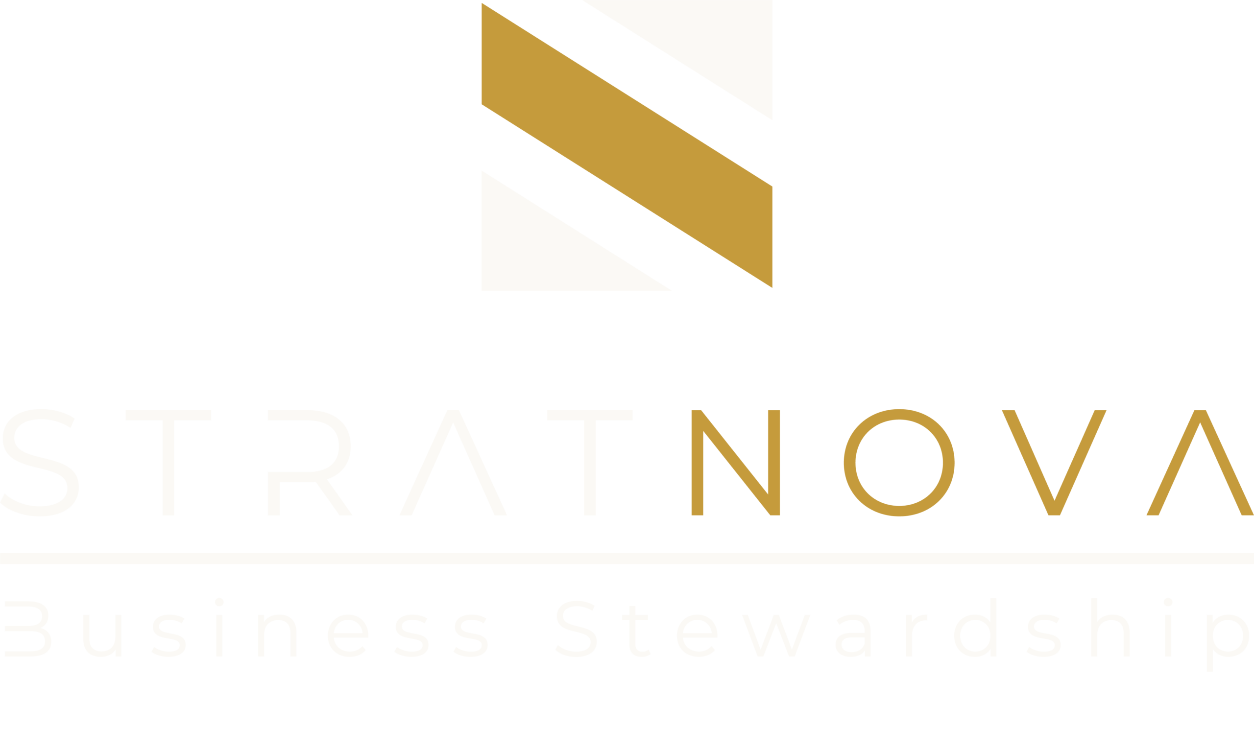 STRAT NOVA — Business Stewardship